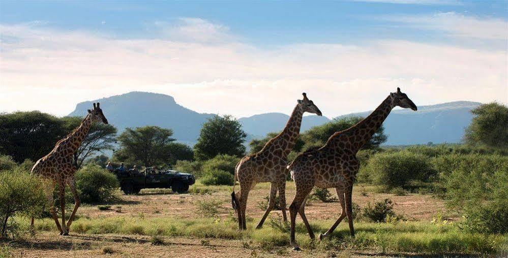 Готель Marataba Safari Co Marakele National Park Екстер'єр фото