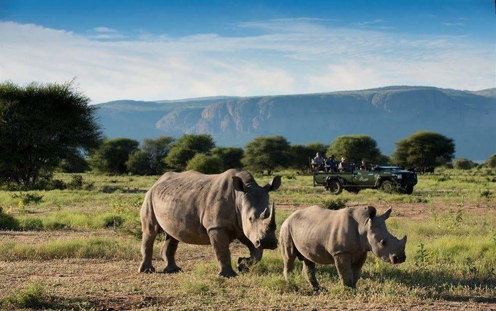 Готель Marataba Safari Co Marakele National Park Екстер'єр фото