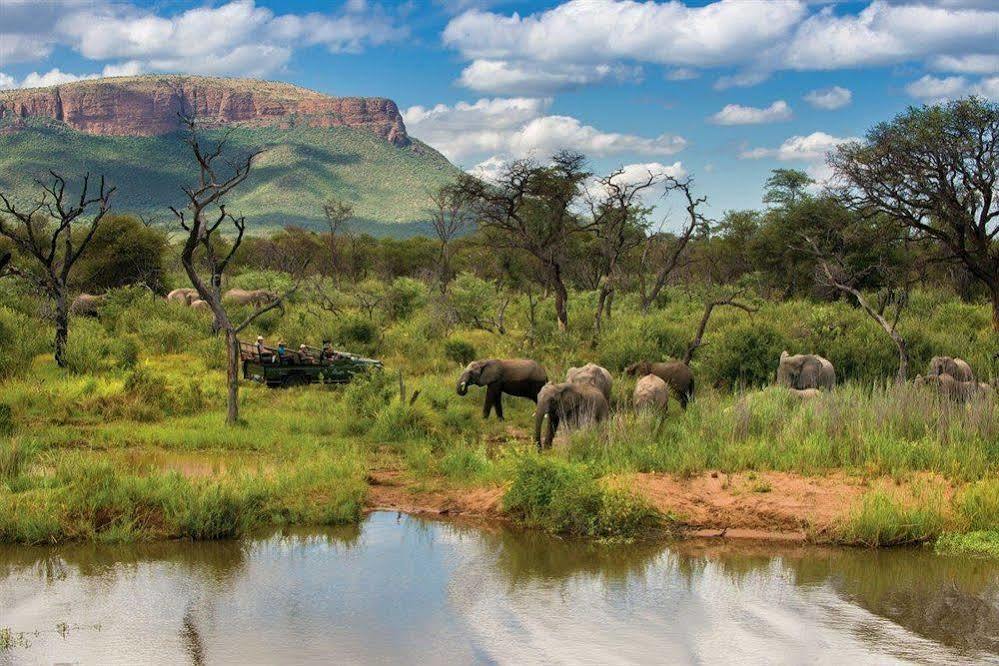 Готель Marataba Safari Co Marakele National Park Екстер'єр фото