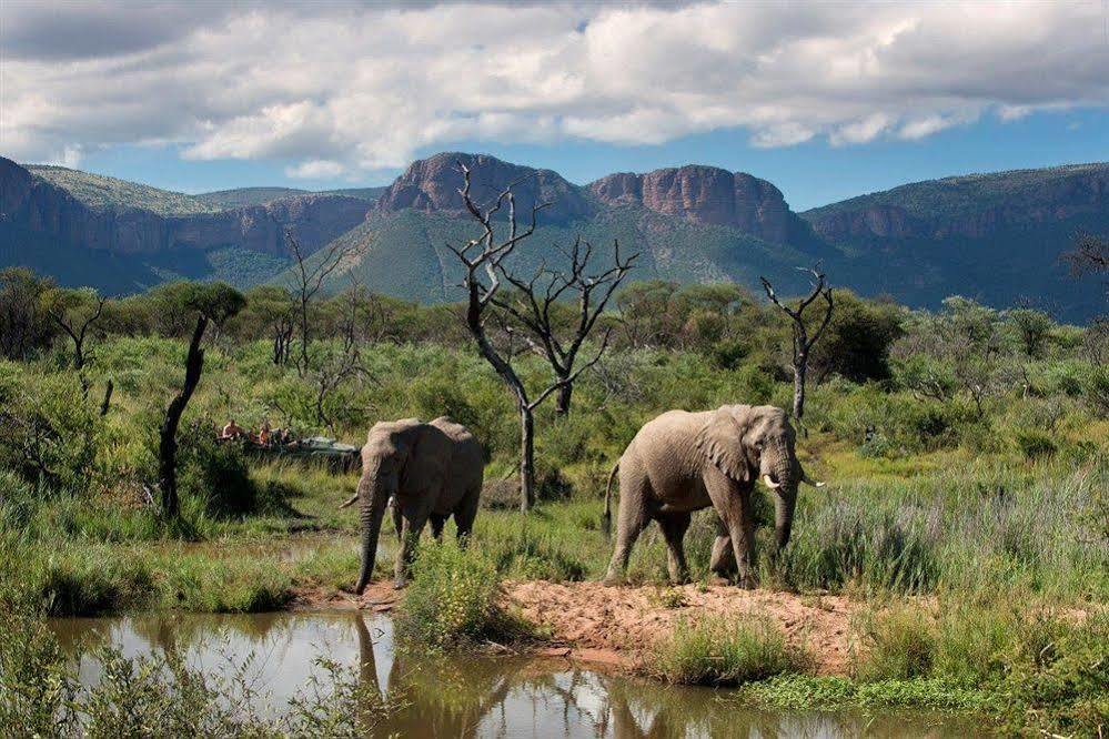 Готель Marataba Safari Co Marakele National Park Екстер'єр фото